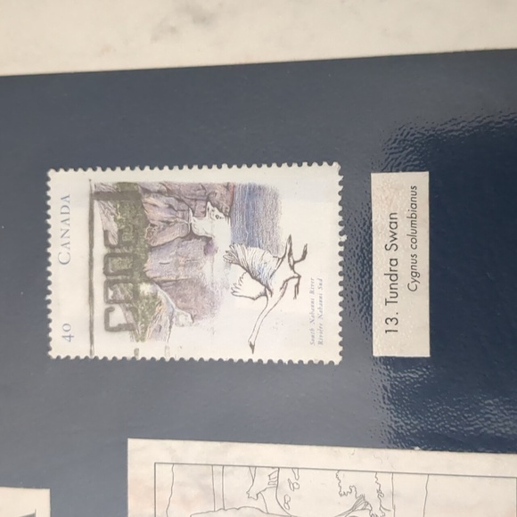 Arctic Tundra Stamp Collection Display - Picture 4 of 7